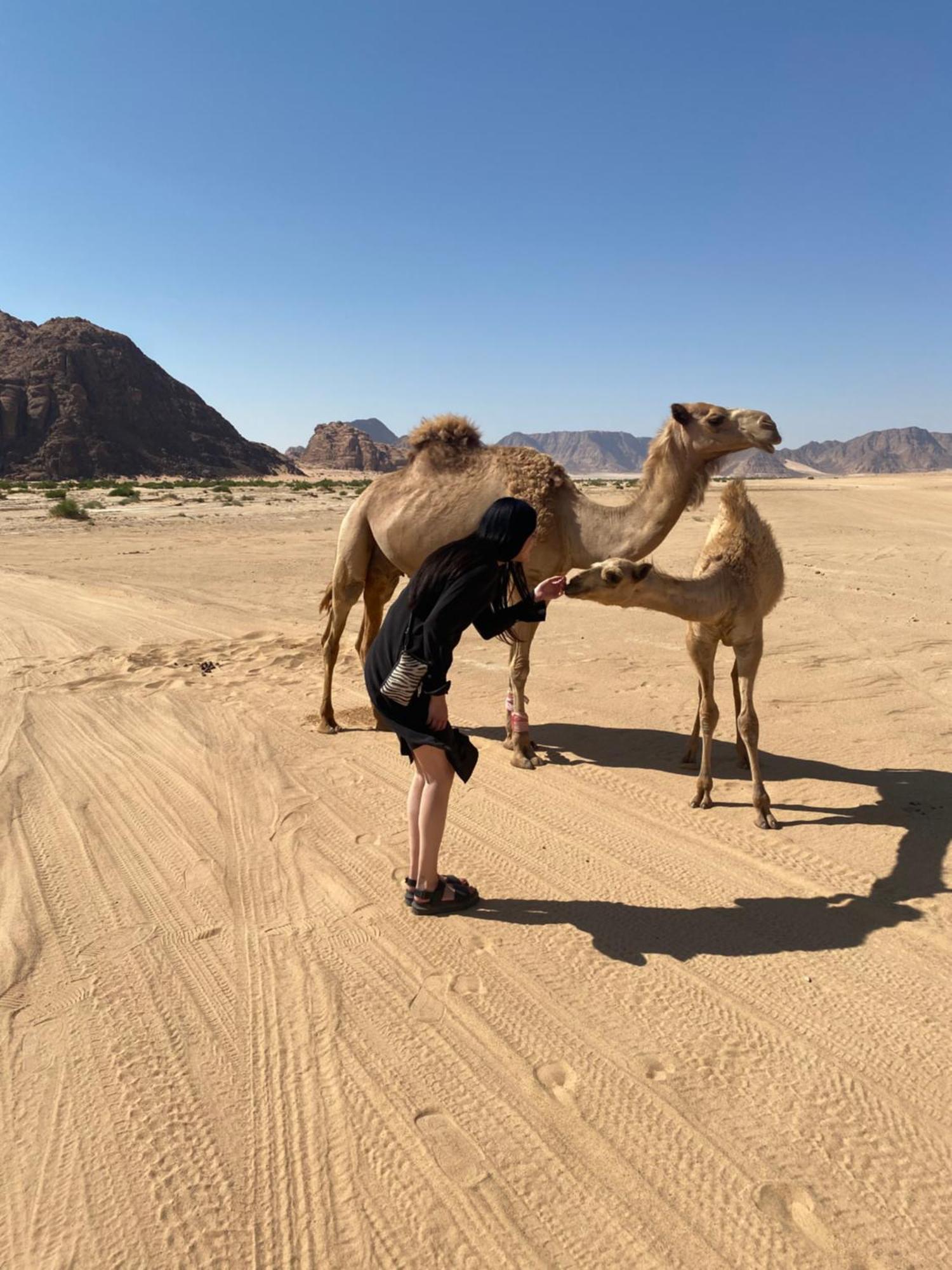 Desert'S Soul Wadi Rum Ad Disah Luaran gambar